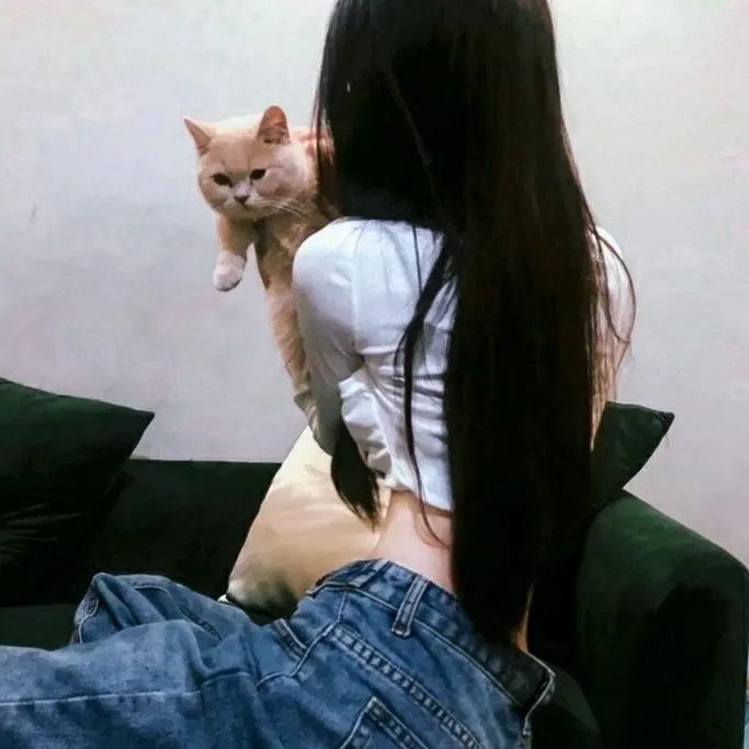 游戏王：次元的黑暗面封面