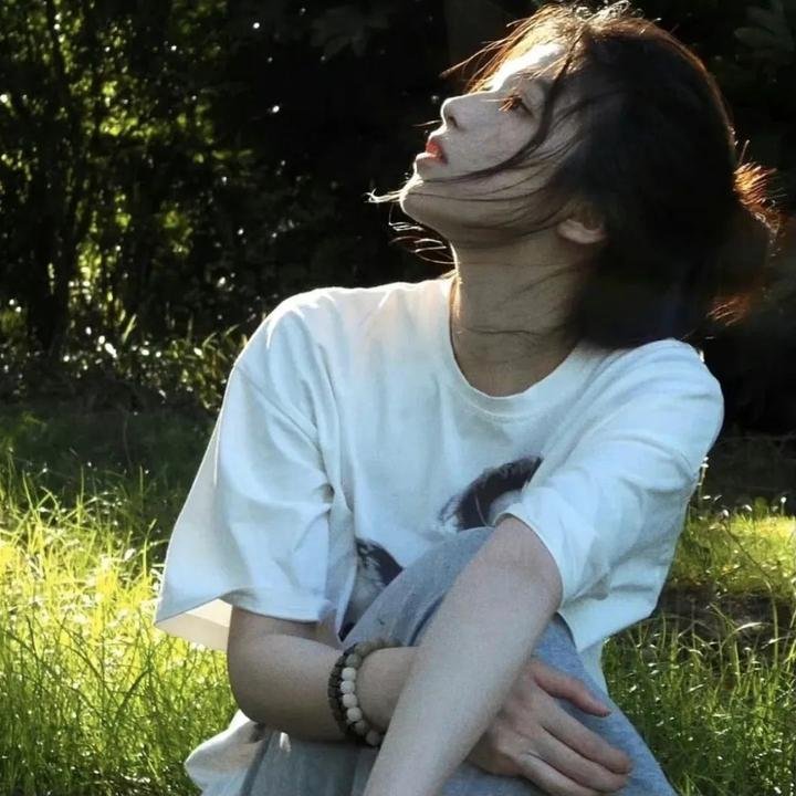 水晶仙女封面