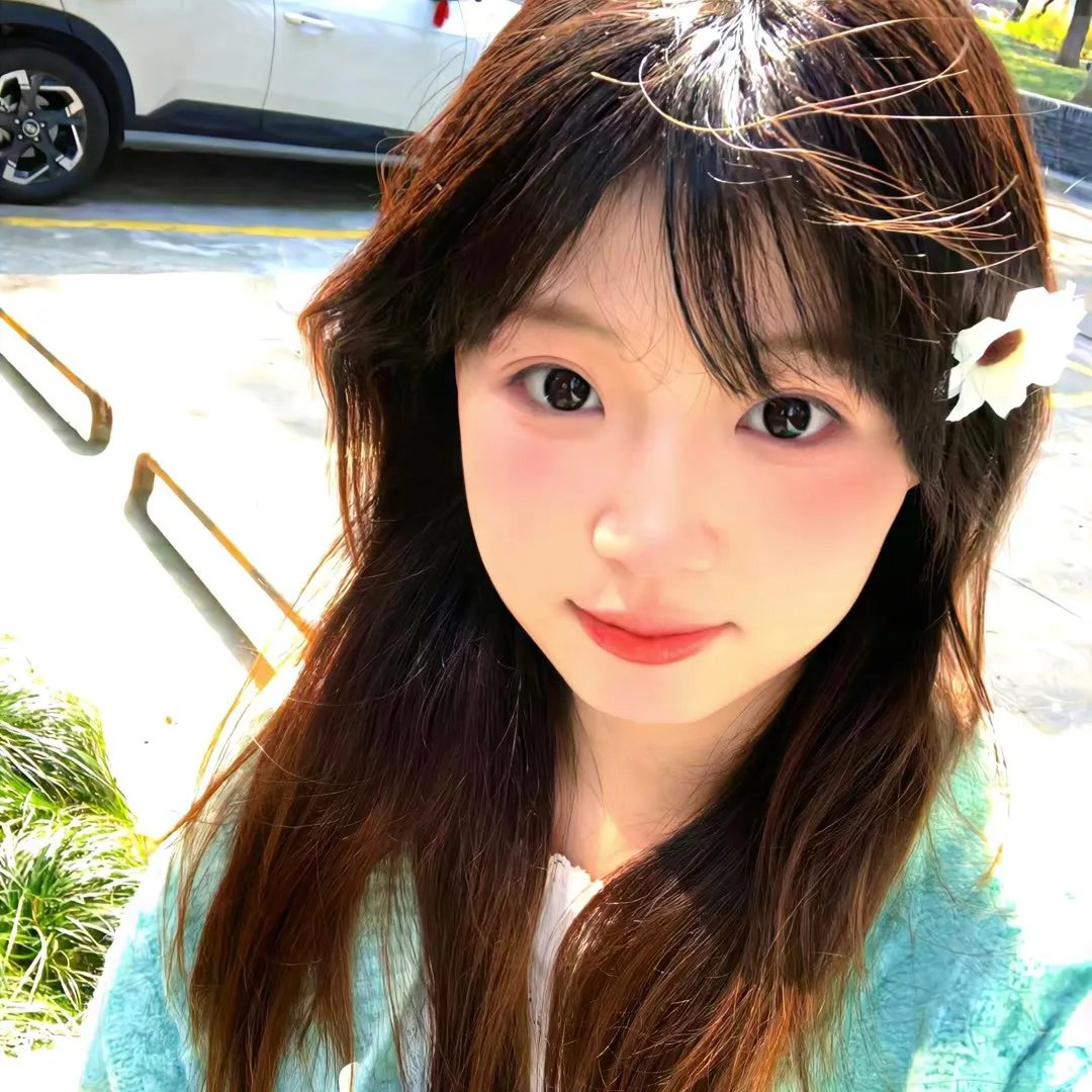 伊莎贝拉封面